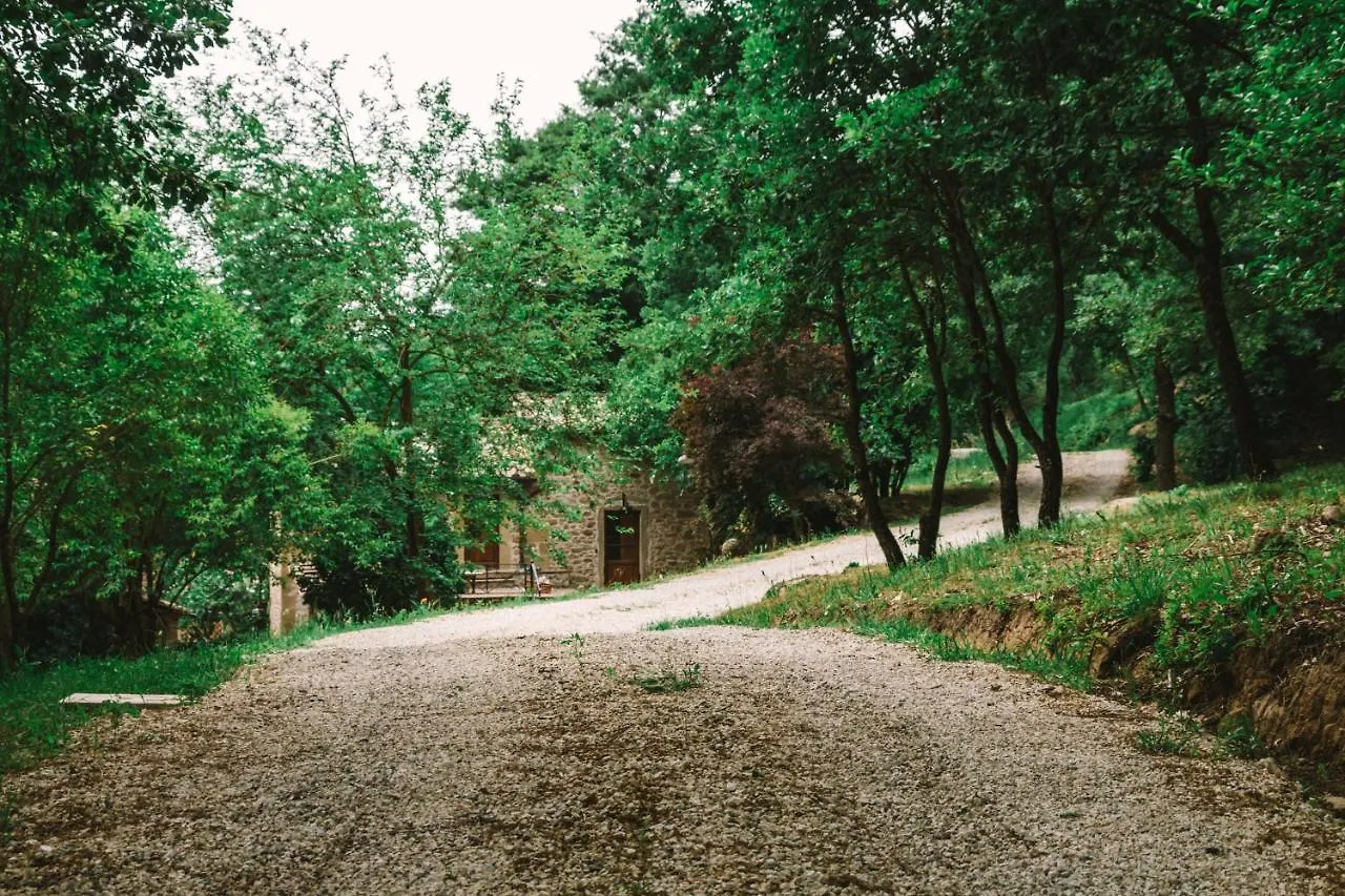 Vakantieboerderij Parulia Country House Arezzo