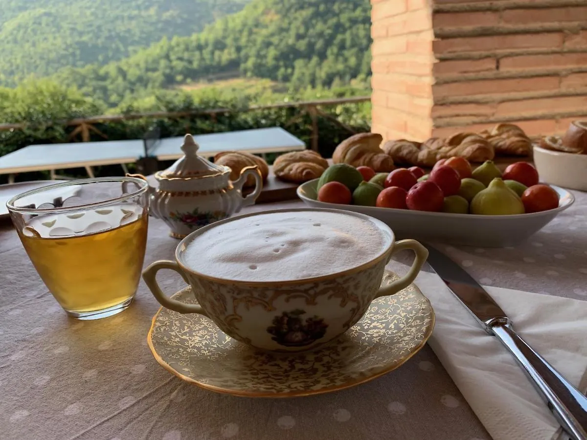 Parulia Country House Arezzo Italy
