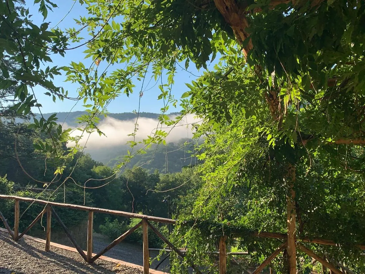 Parulia Country House Arezzo Vakantieboerderij